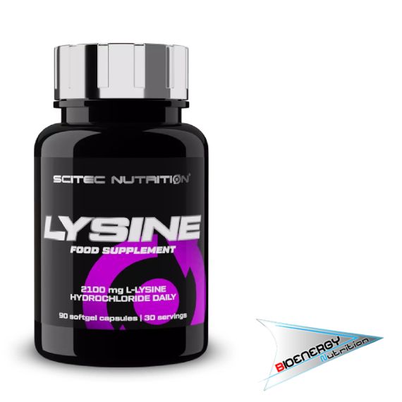 SciTec-LYSINE (Conf. 90 cps)     